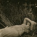 fallen