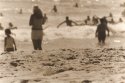 Manly Beach 2
