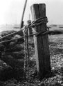 Post and Rope at Newtown Harbour
