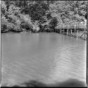 Bridge and Water
