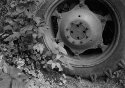 wheel