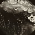 Stream with Lily Pads
