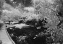 Mark Creek II