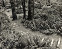Path to Upper Falls