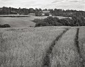 Farm