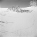 WhiteSands19