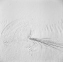WhiteSands21