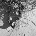 WhiteSands22