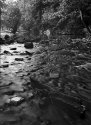 Hay Creek