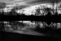 Pond at Dusk / Split Grade