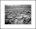 Gathering Rocks Original