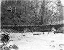 Jack's Brook