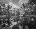 Fisheating creek