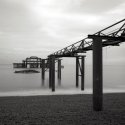 West Pier elephant