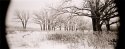 Owen Park winter