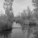 Upper Butte Basin 2