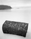 Oil barrel in Lofoten