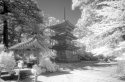 Oppoji Pagoda in IR