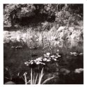 Holga Pond