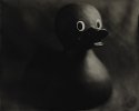 Ducky