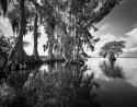 lake istokpoga #5