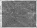Emulsion test (1b)