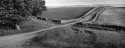 Rubbish Tip Lane