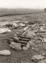 Old rail junction 1