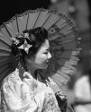 Geisha Girl