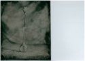 Wet_Plate_flower_3
