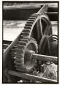 Winch gears
