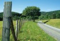 High Valley Road 7/07 Fencepost