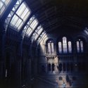 Museum