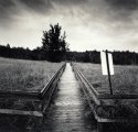 Pathway to Beach
