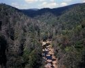 Linville Gorge Wilderness