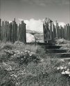 Scenic Ave Gate / Fence