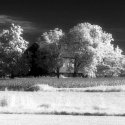 Barn