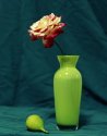 rose in vase