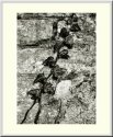 untitled 2006