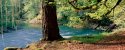 410rvp-skokomish-river-pano