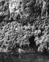 Fern Grotto Series 2