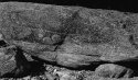 Quabbin _Lichen large Rock