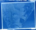 Frost