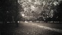 Path of light