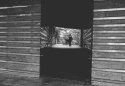Irish Famine Memorial II
