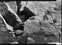 Quabbin - Water Hole
