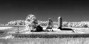 IR  Farm on State Line