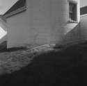 Cape Ann 1