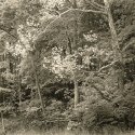 Early Fall, Eagle Creek