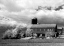 IR   Barn